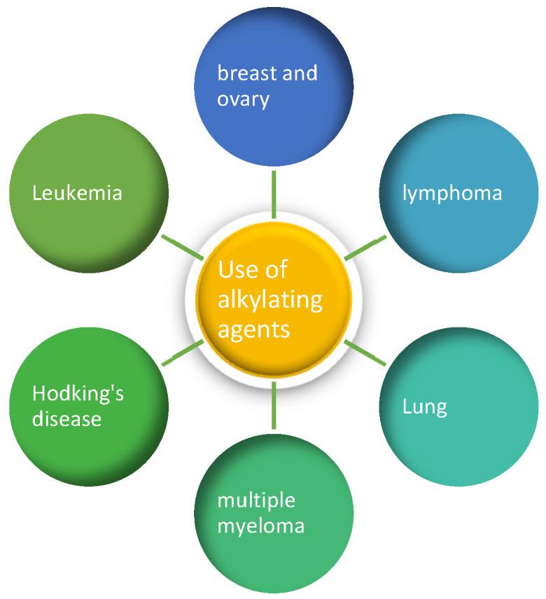 https://cdn.ncbi.nlm.nih.gov/pmc/blobs/2575/11429518/f76848cd7171/cancers-16-03123-g003.jpg