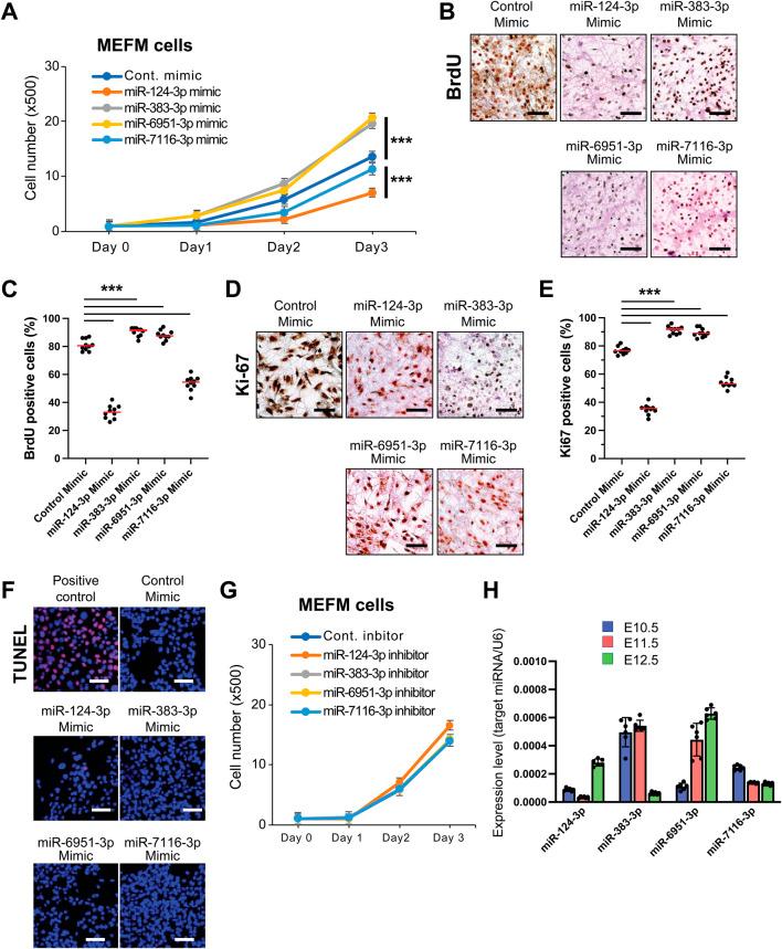 https://cdn.ncbi.nlm.nih.gov/pmc/blobs/2575/12333593/811afcaa72c7/fcell-13-1587052-g002.jpg