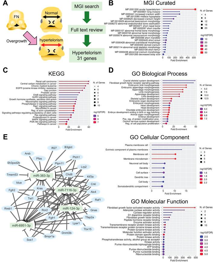https://cdn.ncbi.nlm.nih.gov/pmc/blobs/2575/12333593/c3e27543420e/fcell-13-1587052-g001.jpg