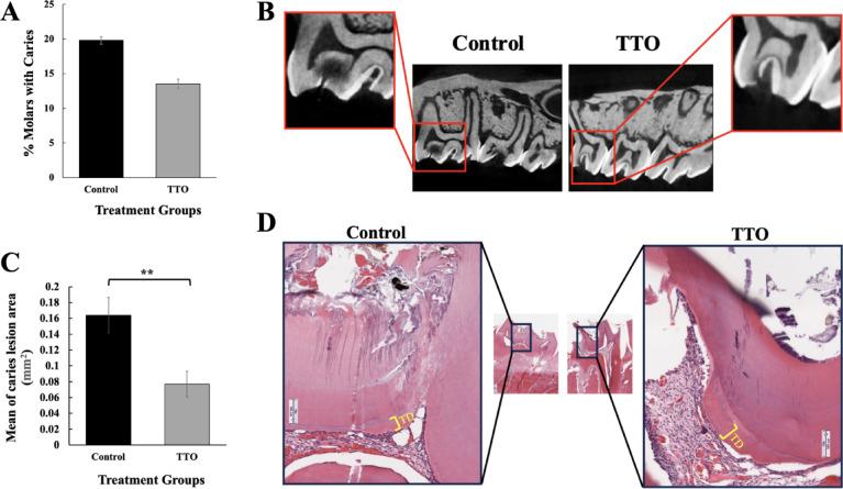https://cdn.ncbi.nlm.nih.gov/pmc/blobs/2576/12397360/9397f8d5f714/41598_2025_15303_Fig4_HTML.jpg