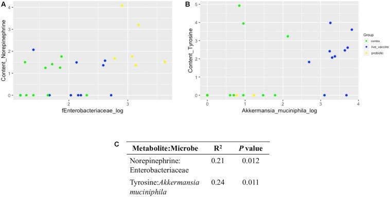 https://cdn.ncbi.nlm.nih.gov/pmc/blobs/2577/6974472/166b08592ee7/fmicb-10-03064-g008.jpg