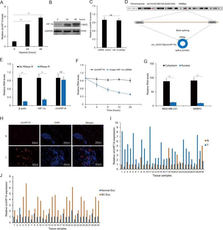 https://cdn.ncbi.nlm.nih.gov/pmc/blobs/2577/8197761/3da0f7b34617/41420_2021_506_Fig2_HTML.jpg
