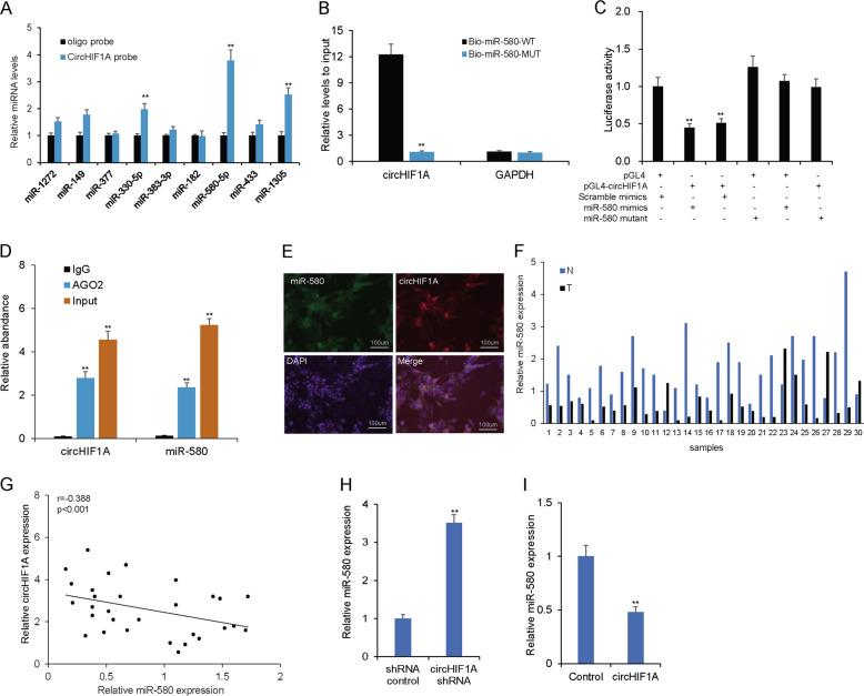 https://cdn.ncbi.nlm.nih.gov/pmc/blobs/2577/8197761/3f9c43c6b0d5/41420_2021_506_Fig4_HTML.jpg