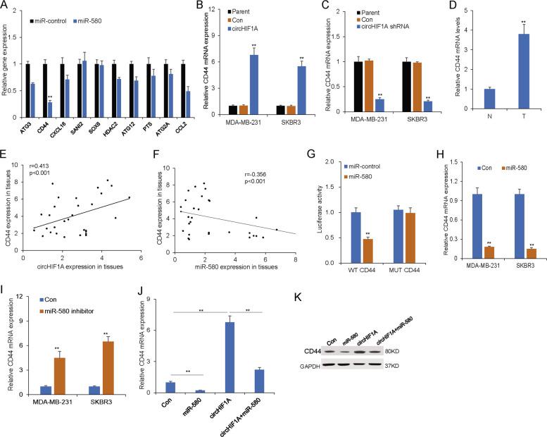 https://cdn.ncbi.nlm.nih.gov/pmc/blobs/2577/8197761/61381c84c380/41420_2021_506_Fig5_HTML.jpg