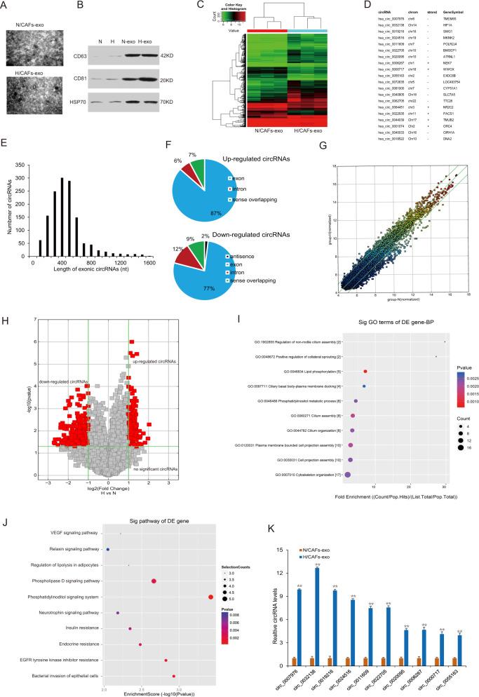 https://cdn.ncbi.nlm.nih.gov/pmc/blobs/2577/8197761/b1ff2151d89b/41420_2021_506_Fig1_HTML.jpg