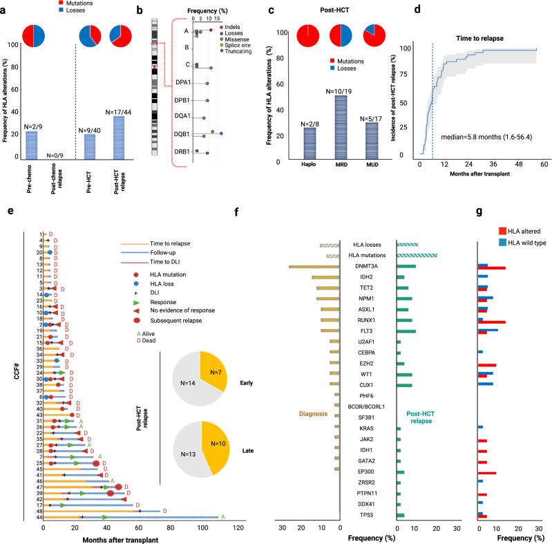 https://cdn.ncbi.nlm.nih.gov/pmc/blobs/257a/10232425/94040d319ed3/41467_2023_38113_Fig3_HTML.jpg