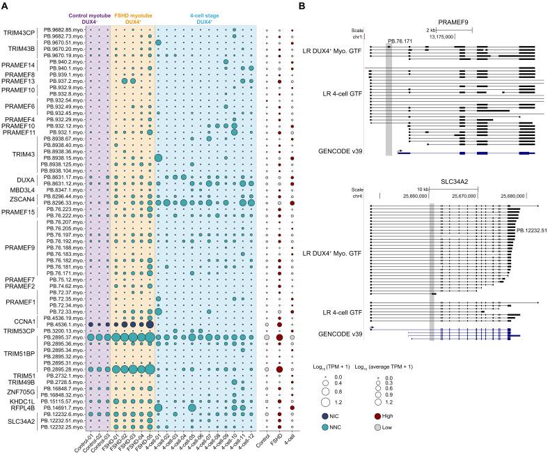 https://cdn.ncbi.nlm.nih.gov/pmc/blobs/257a/12057663/8e0432be3e7a/sciadv.adt5356-f5.jpg