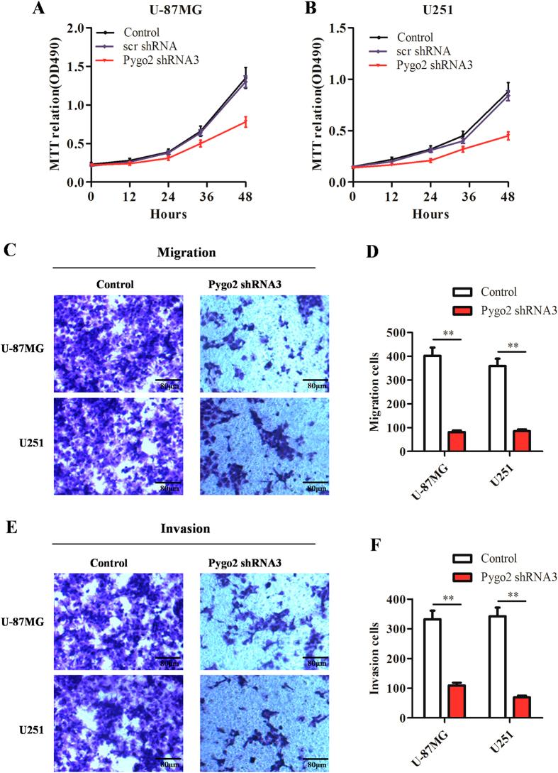 https://cdn.ncbi.nlm.nih.gov/pmc/blobs/257b/4763266/a49d1a42002a/srep22066-f7.jpg