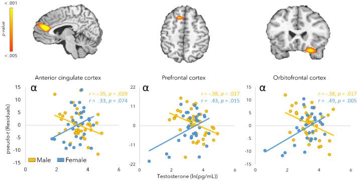 https://cdn.ncbi.nlm.nih.gov/pmc/blobs/257d/12392304/4c9e5bbf471c/IMAG.a.120_fig5.jpg