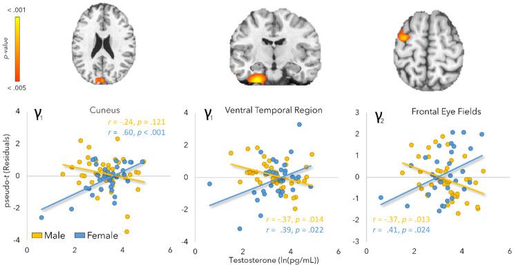 https://cdn.ncbi.nlm.nih.gov/pmc/blobs/257d/12392304/c1b1fd1eeab5/IMAG.a.120_fig6.jpg