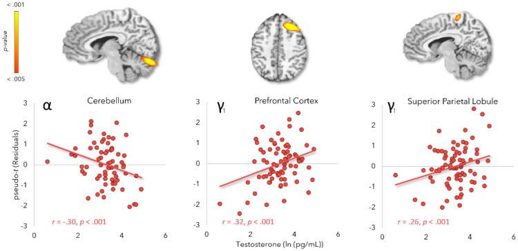 https://cdn.ncbi.nlm.nih.gov/pmc/blobs/257d/12392304/dfb9a134b828/IMAG.a.120_fig4.jpg