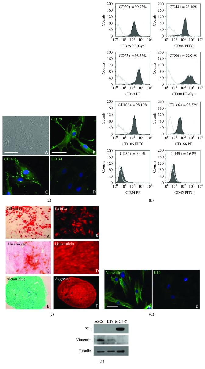 https://cdn.ncbi.nlm.nih.gov/pmc/blobs/257d/5845512/633cc0ac53b5/SCI2018-1075156.001.jpg
