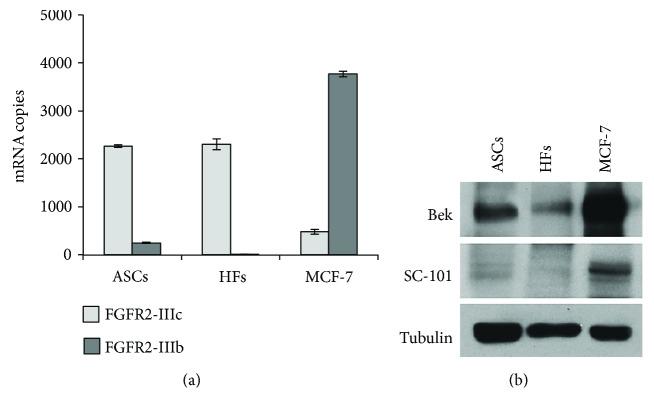 https://cdn.ncbi.nlm.nih.gov/pmc/blobs/257d/5845512/9867456dafa1/SCI2018-1075156.006.jpg
