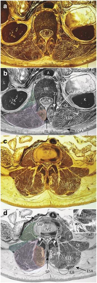 https://cdn.ncbi.nlm.nih.gov/pmc/blobs/257e/5247810/e4c6e473190a/12891_2016_1378_Fig1_HTML.jpg