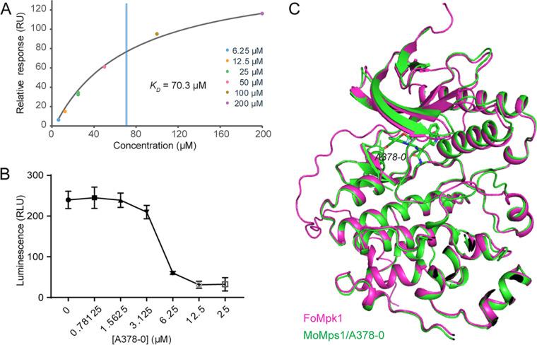 https://cdn.ncbi.nlm.nih.gov/pmc/blobs/257f/10127588/b9143324b8bd/mbio.02883-22-f005.jpg
