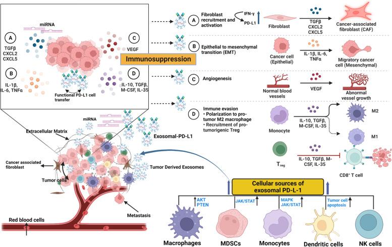 https://cdn.ncbi.nlm.nih.gov/pmc/blobs/2585/10463467/29e5a9fa752e/13046_2023_2753_Fig3_HTML.jpg