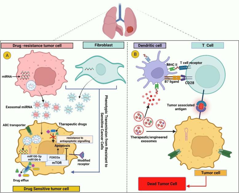 https://cdn.ncbi.nlm.nih.gov/pmc/blobs/2585/10463467/8d1ee4334e8b/13046_2023_2753_Fig4_HTML.jpg