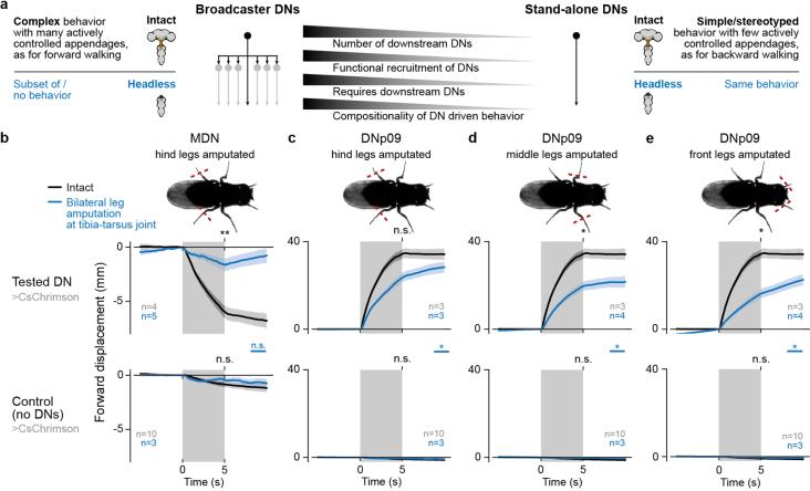 https://cdn.ncbi.nlm.nih.gov/pmc/blobs/2585/11186778/3e3da3b2bd23/41586_2024_7523_Fig16_ESM.jpg