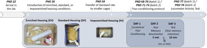 https://cdn.ncbi.nlm.nih.gov/pmc/blobs/2589/6320387/662ad8443598/gr1.jpg