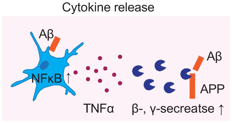 https://cdn.ncbi.nlm.nih.gov/pmc/blobs/258a/10136897/21e4db85aac0/cells-12-01207-g001.jpg