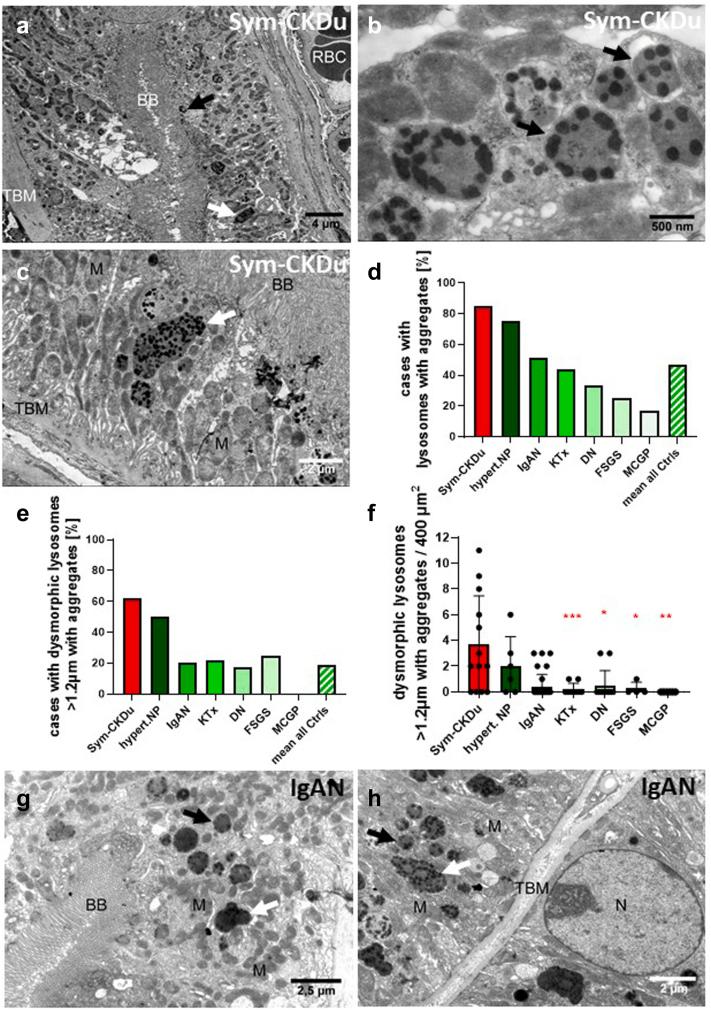 https://cdn.ncbi.nlm.nih.gov/pmc/blobs/258c/10014386/3c7c013cbb55/gr7.jpg