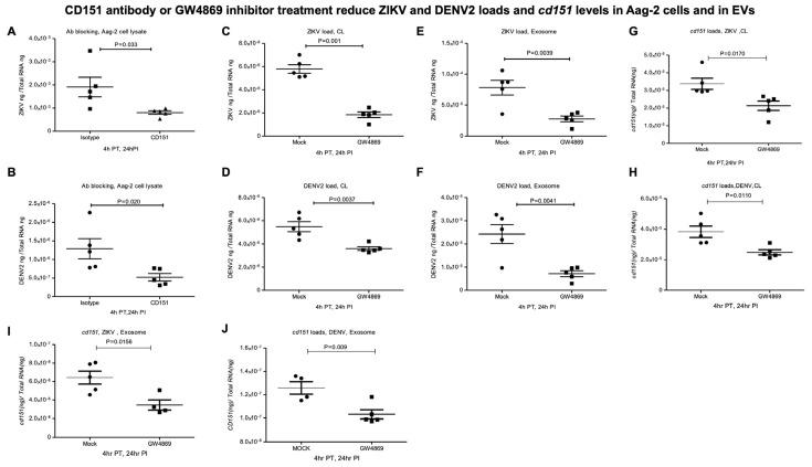 https://cdn.ncbi.nlm.nih.gov/pmc/blobs/258c/12347819/1149912203dc/ijms-26-07394-g007.jpg