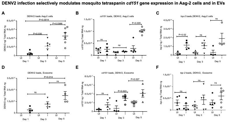 https://cdn.ncbi.nlm.nih.gov/pmc/blobs/258c/12347819/34aa1effd3ab/ijms-26-07394-g002.jpg