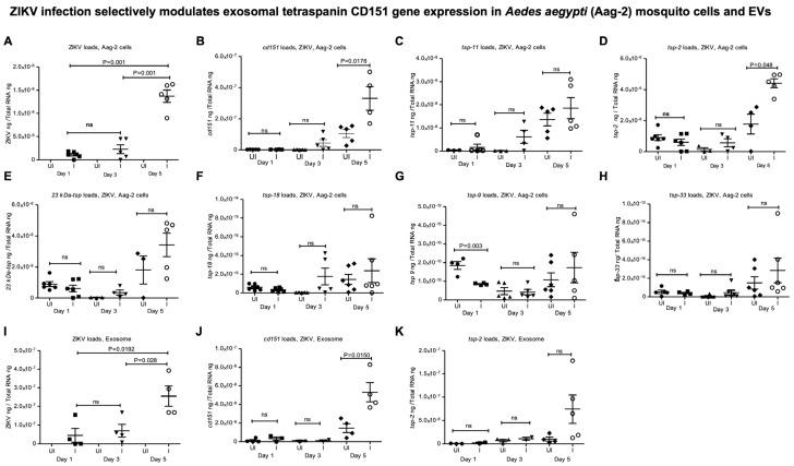 https://cdn.ncbi.nlm.nih.gov/pmc/blobs/258c/12347819/5d50cffdb994/ijms-26-07394-g001.jpg
