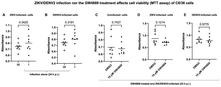 https://cdn.ncbi.nlm.nih.gov/pmc/blobs/258c/12347819/c8c838329781/ijms-26-07394-g008.jpg