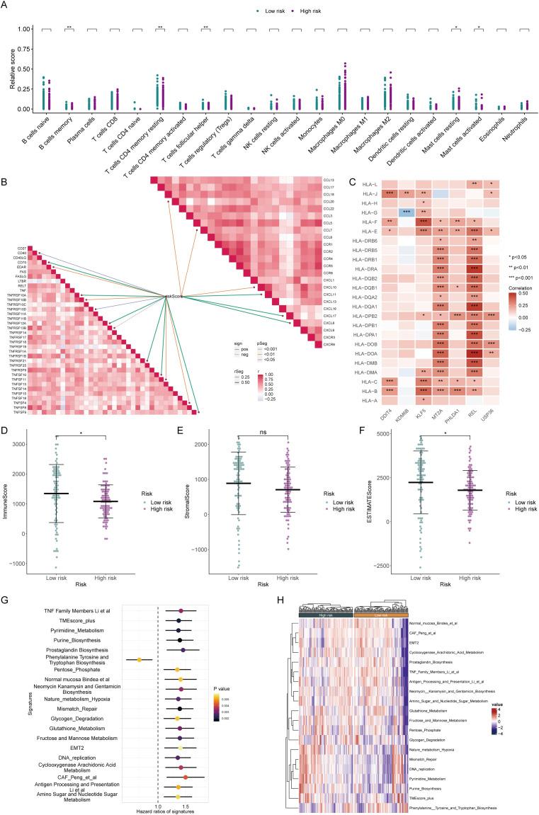 https://cdn.ncbi.nlm.nih.gov/pmc/blobs/258d/12271128/d565a8ecfc45/fimmu-16-1592416-g005.jpg