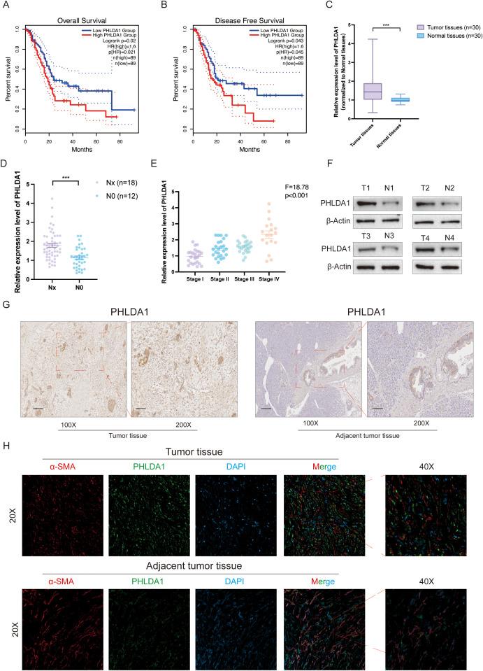 https://cdn.ncbi.nlm.nih.gov/pmc/blobs/258d/12271128/fbc4b5d104fd/fimmu-16-1592416-g009.jpg