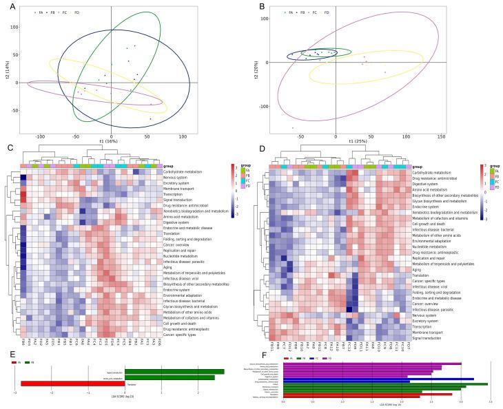 https://cdn.ncbi.nlm.nih.gov/pmc/blobs/2590/12142815/6344cf7feaf2/12866_2025_4050_Fig10_HTML.jpg