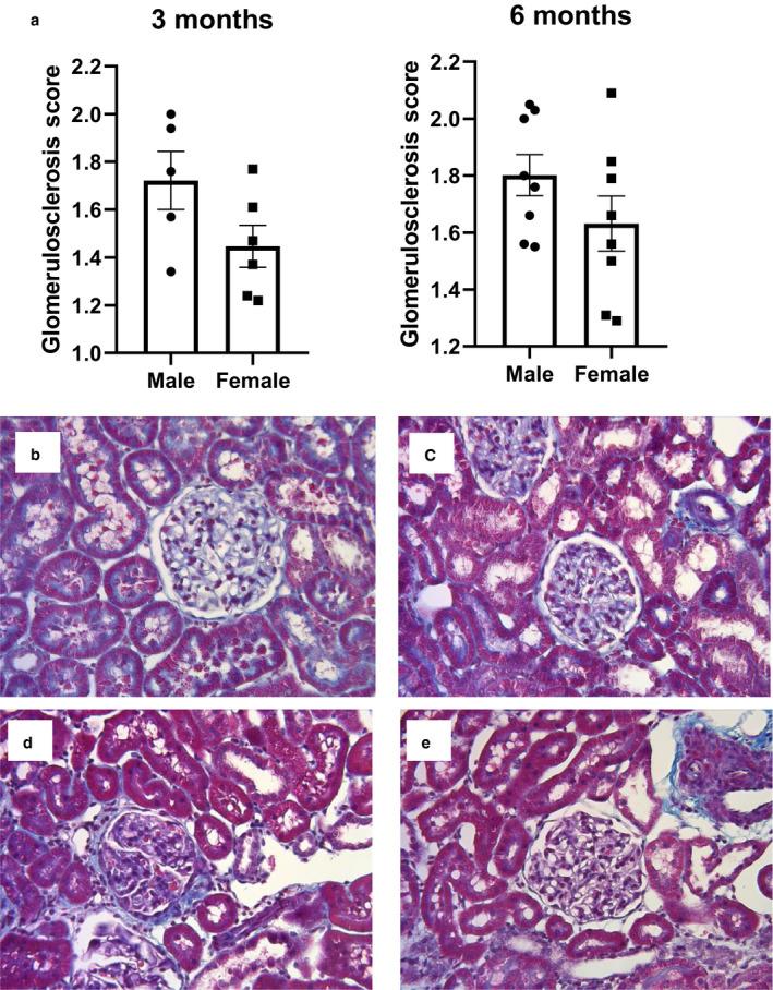 https://cdn.ncbi.nlm.nih.gov/pmc/blobs/2590/7354091/1c6647454510/PHY2-8-e14440-g002.jpg