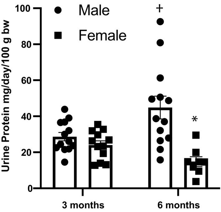 https://cdn.ncbi.nlm.nih.gov/pmc/blobs/2590/7354091/22ac949d4a47/PHY2-8-e14440-g001.jpg