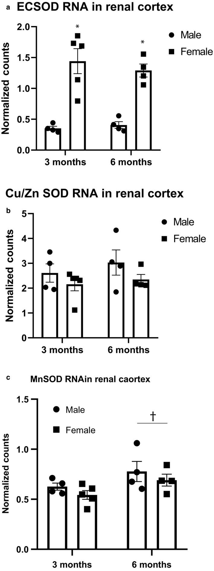 https://cdn.ncbi.nlm.nih.gov/pmc/blobs/2590/7354091/c9046dc82bf9/PHY2-8-e14440-g005.jpg
