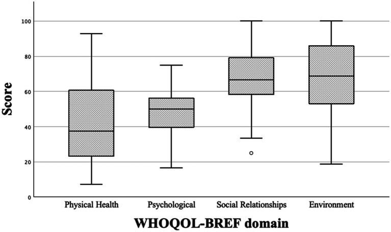 https://cdn.ncbi.nlm.nih.gov/pmc/blobs/2592/11405338/01628680421e/fneur-15-1419134-g004.jpg