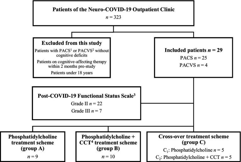 https://cdn.ncbi.nlm.nih.gov/pmc/blobs/2592/11405338/ea2d4aa6e247/fneur-15-1419134-g001.jpg