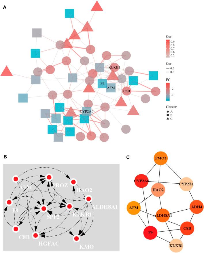 https://cdn.ncbi.nlm.nih.gov/pmc/blobs/2592/9845404/39baad9bb609/fgene-13-934883-g004.jpg