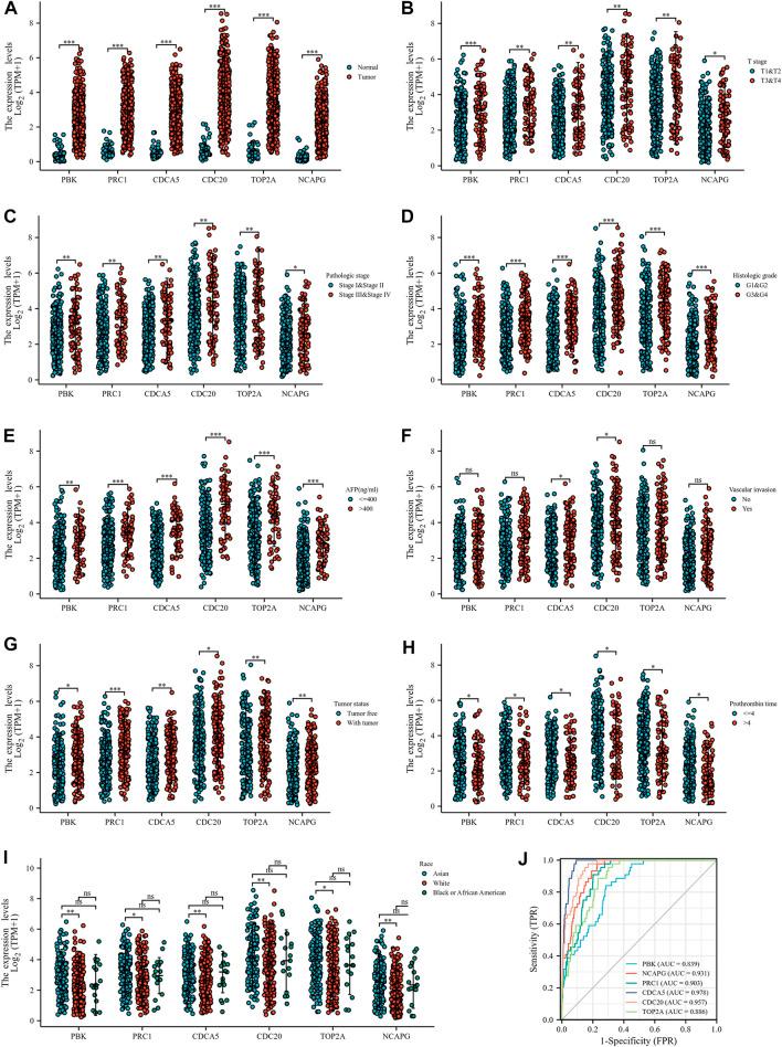 https://cdn.ncbi.nlm.nih.gov/pmc/blobs/2592/9845404/4dbdd4d5bf92/fgene-13-934883-g005.jpg