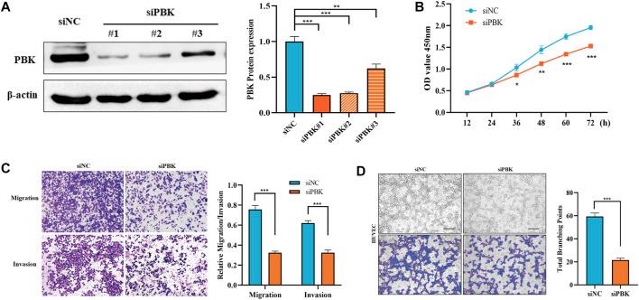 https://cdn.ncbi.nlm.nih.gov/pmc/blobs/2592/9845404/9f38af97b2e1/fgene-13-934883-g008.jpg
