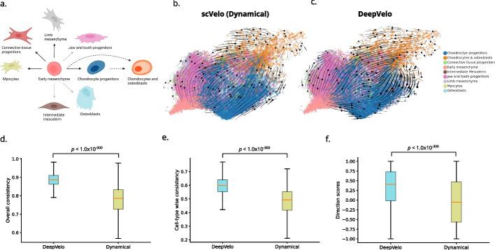 https://cdn.ncbi.nlm.nih.gov/pmc/blobs/2596/10799431/63235751c822/13059_2023_3148_Fig6_HTML.jpg