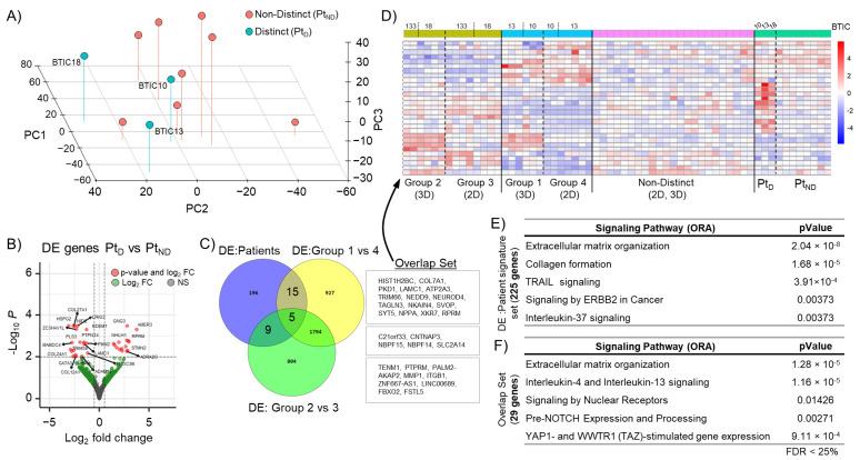 https://cdn.ncbi.nlm.nih.gov/pmc/blobs/2597/10378658/1bd5a3d91a1b/cells-12-01856-g003.jpg