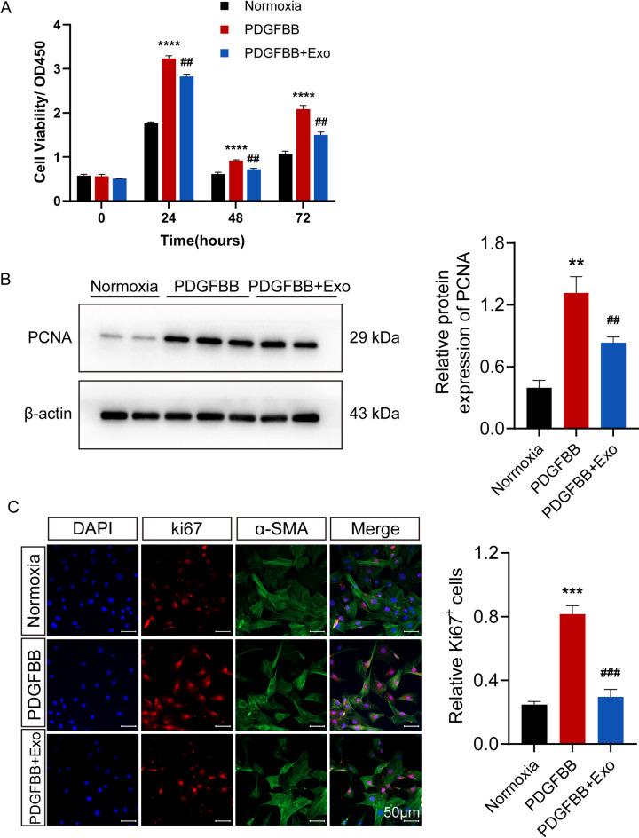 https://cdn.ncbi.nlm.nih.gov/pmc/blobs/259a/12234707/7251d81aa220/41598_2025_9333_Fig2_HTML.jpg