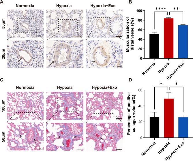 https://cdn.ncbi.nlm.nih.gov/pmc/blobs/259a/12234707/b9756decc2ec/41598_2025_9333_Fig6_HTML.jpg