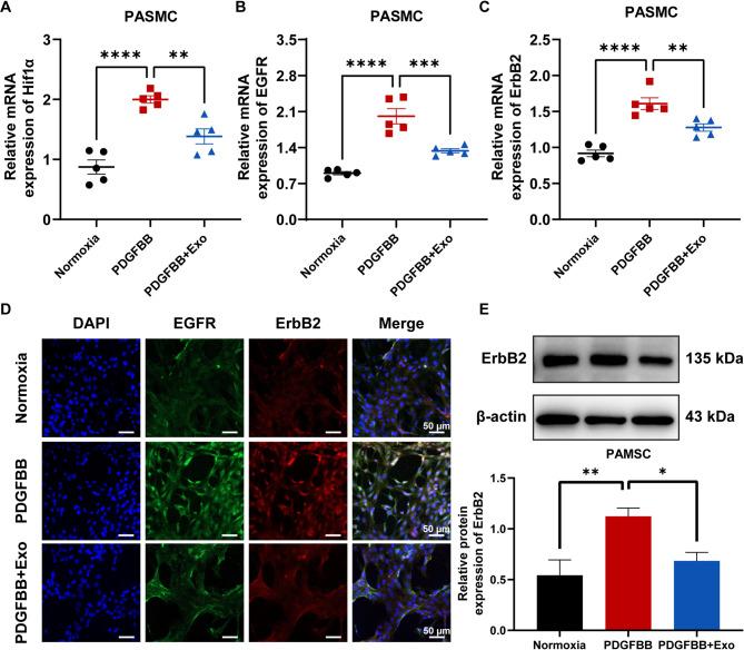 https://cdn.ncbi.nlm.nih.gov/pmc/blobs/259a/12234707/ea75b067c66f/41598_2025_9333_Fig4_HTML.jpg