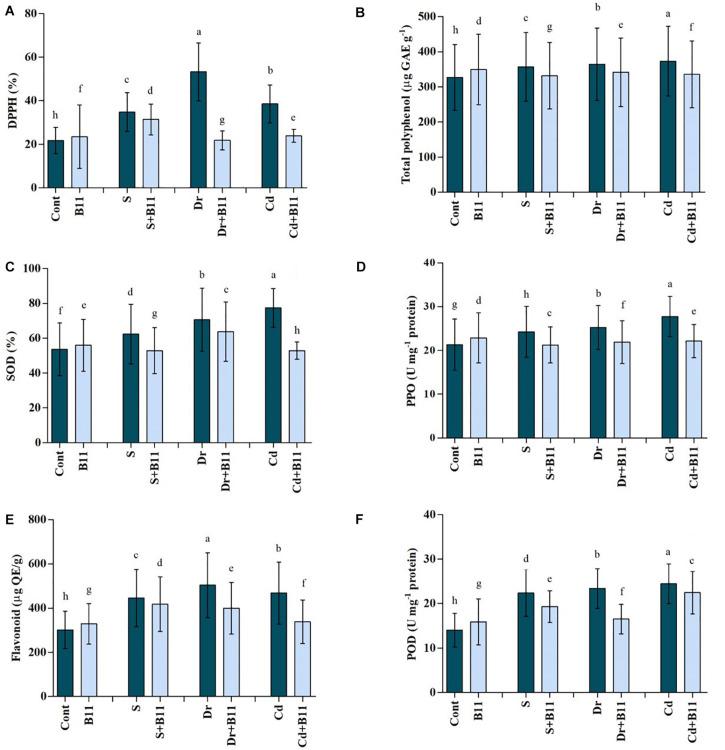 https://cdn.ncbi.nlm.nih.gov/pmc/blobs/259d/8185346/350d378802ac/fpls-12-669693-g004.jpg