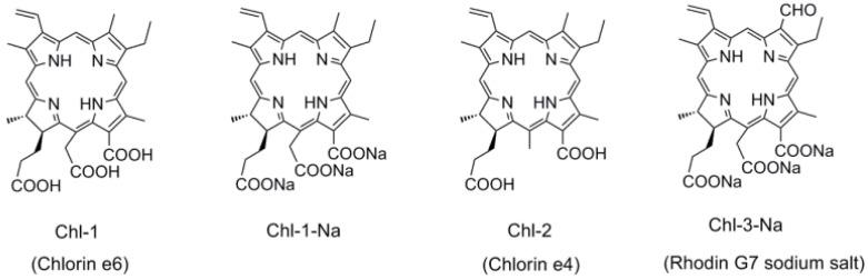 https://cdn.ncbi.nlm.nih.gov/pmc/blobs/259e/6268924/e12972d6727b/molecules-17-04484-g007.jpg