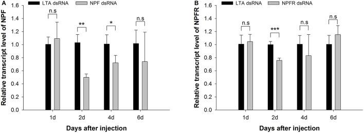 https://cdn.ncbi.nlm.nih.gov/pmc/blobs/259f/5816806/56cda5ca5497/fphys-09-00087-g0003.jpg