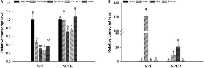 https://cdn.ncbi.nlm.nih.gov/pmc/blobs/259f/5816806/a00f2ad8fb62/fphys-09-00087-g0001.jpg