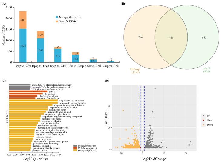 https://cdn.ncbi.nlm.nih.gov/pmc/blobs/25a1/9323523/c4f6d2ae8ab7/genes-13-01173-g002.jpg